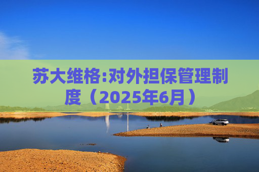 苏大维格:对外担保管理制度（2025年6月）