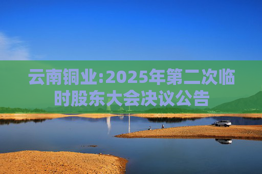 云南铜业:2025年第二次临时股东大会决议公告