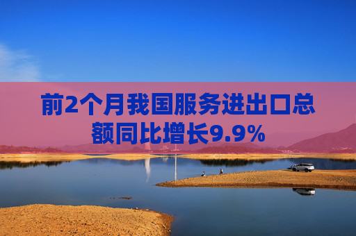 前2个月我国服务进出口总额同比增长9.9%  第1张
