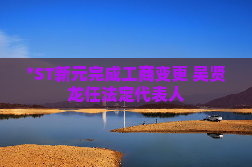 *ST新元完成工商变更 吴贤龙任法定代表人  第1张