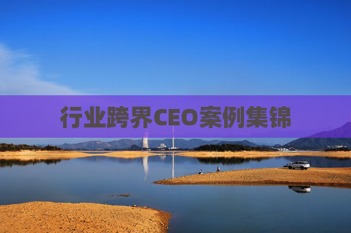 行业跨界CEO案例集锦