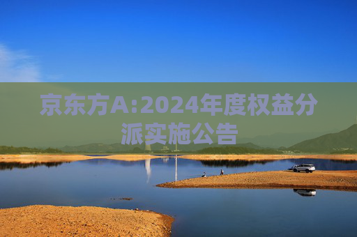 京东方A:2024年度权益分派实施公告  第1张