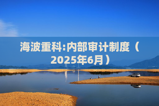 海波重科:内部审计制度（2025年6月）  第1张