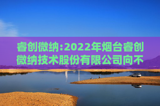 睿创微纳:2022年烟台睿创微纳技术股份有限公司向不特定对象发行可转换公司债券定期跟踪评级报告  第1张