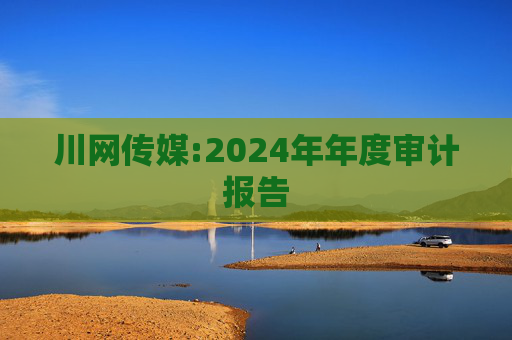 川网传媒:2024年年度审计报告  第1张
