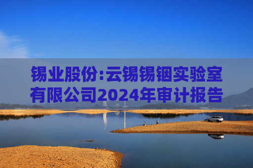 锡业股份:云锡锡铟实验室有限公司2024年审计报告