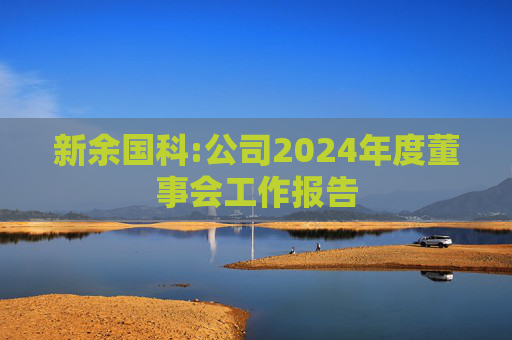 新余国科:公司2024年度董事会工作报告