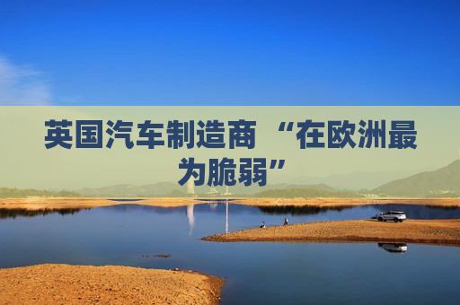 英国汽车制造商 “在欧洲最为脆弱”