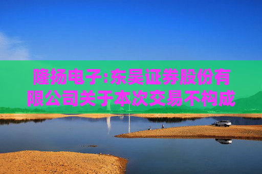 隆扬电子:东吴证券股份有限公司关于本次交易不构成上市公司重大资产重组管理办法第十三条规定的重组上市情形的核查意见