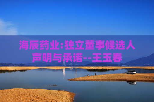 海辰药业:独立董事候选人声明与承诺--王玉春