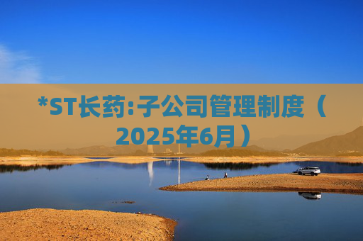 *ST长药:子公司管理制度（2025年6月）