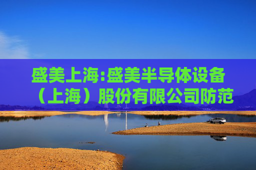盛美上海:盛美半导体设备（上海）股份有限公司防范控股股东及关联方占用公司资金管理制度