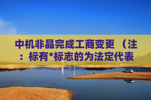 中机非晶完成工商变更 （注：标有*标志的为法定代表人）1 徐继斌* 董事长2 张川 董事3 刘文仲 董事4 郭志勇 董事5 何力 董事6 黄效东 总经理7 甄富海 监事会主席8 徐磊 监事9 张锦 监事任董事（理事）、经理、监事