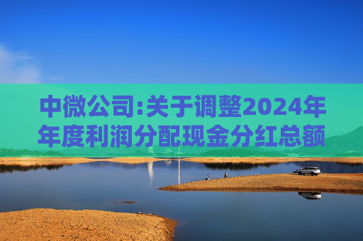 中微公司:关于调整2024年年度利润分配现金分红总额的公告  第1张