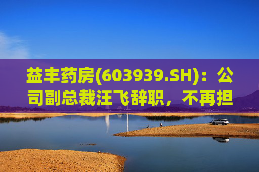 益丰药房(603939.SH)：公司副总裁汪飞辞职，不再担任公司其他职务  第1张