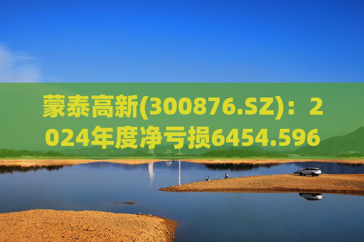 蒙泰高新(300876.SZ)：2024年度净亏损6454.596万元