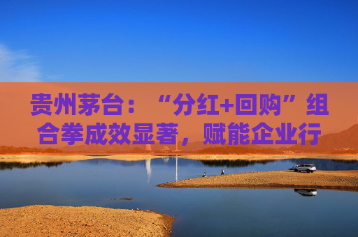 贵州茅台：“分红+回购”组合拳成效显著，赋能企业行稳致远