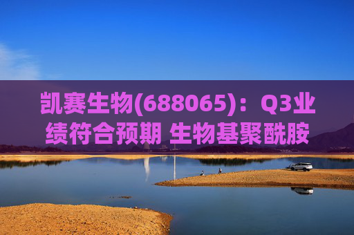凯赛生物(688065)：Q3业绩符合预期 生物基聚酰胺复材商业化持续推进  第1张