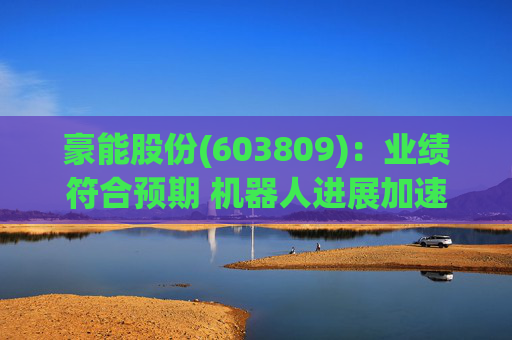 豪能股份(603809)：业绩符合预期 机器人进展加速  第1张