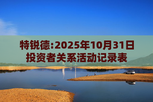 特锐德:2025年10月31日投资者关系活动记录表