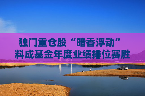 独门重仓股“暗香浮动” 料成基金年度业绩排位赛胜负手