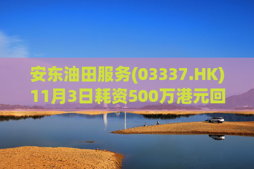 安东油田服务(03337.HK)11月3日耗资500万港元回购472万股