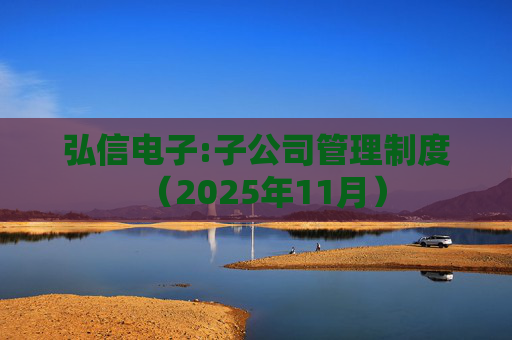 弘信电子:子公司管理制度（2025年11月）