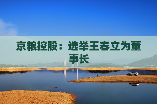 京粮控股：选举王春立为董事长