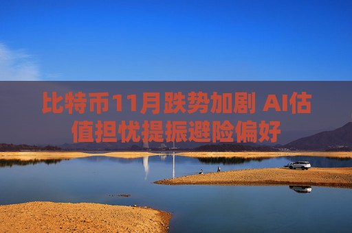 比特币11月跌势加剧 AI估值担忧提振避险偏好