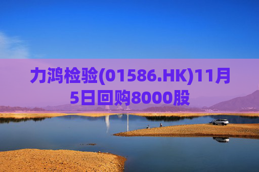力鸿检验(01586.HK)11月5日回购8000股  第1张
