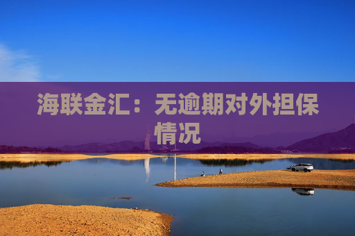 海联金汇：无逾期对外担保情况