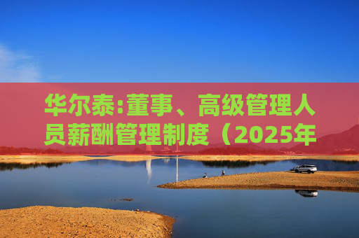 华尔泰:董事、高级管理人员薪酬管理制度（2025年11月）