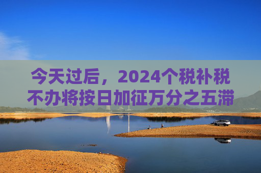 今天过后，2024个税补税不办将按日加征万分之五滞纳金