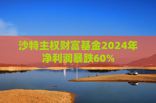 沙特主权财富基金2024年净利润暴跌60%