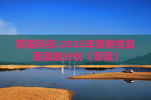 掌趣科技:2025年限制性股票激励计划（草案）  第1张