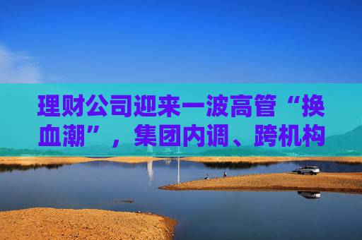 理财公司迎来一波高管“换血潮”，集团内调、跨机构流动成主线  第1张