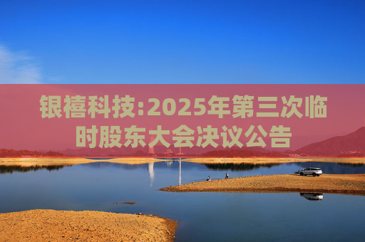 银禧科技:2025年第三次临时股东大会决议公告