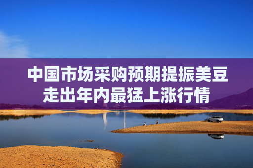 中国市场采购预期提振美豆走出年内最猛上涨行情