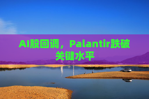 AI股回调，Palantir跌破关键水平