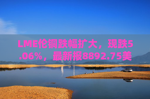 LME伦铜跌幅扩大，现跌5.06%，最新报8892.75美元/吨  第1张
