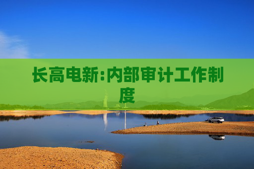 长高电新:内部审计工作制度