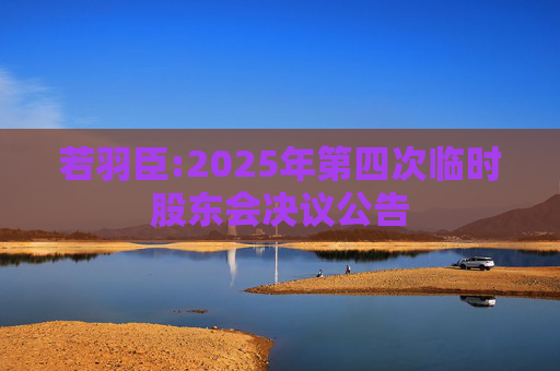 若羽臣:2025年第四次临时股东会决议公告
