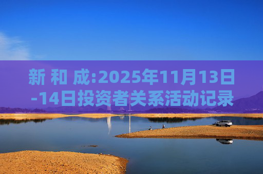 新 和 成:2025年11月13日-14日投资者关系活动记录表