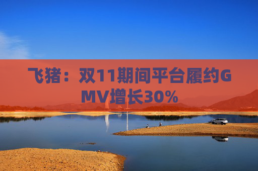 飞猪：双11期间平台履约GMV增长30%  第1张
