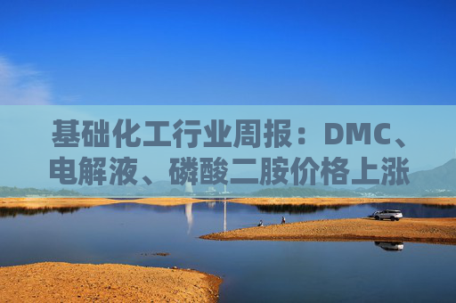 基础化工行业周报：DMC、电解液、磷酸二胺价格上涨 关注反内卷和铬盐  第1张