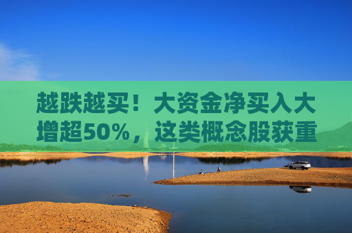 越跌越买！大资金净买入大增超50%，这类概念股获重点关注