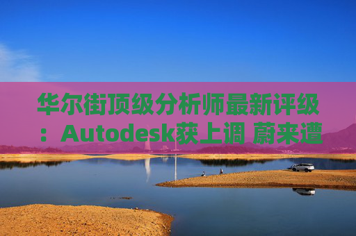 华尔街顶级分析师最新评级：Autodesk获上调 蔚来遭下调