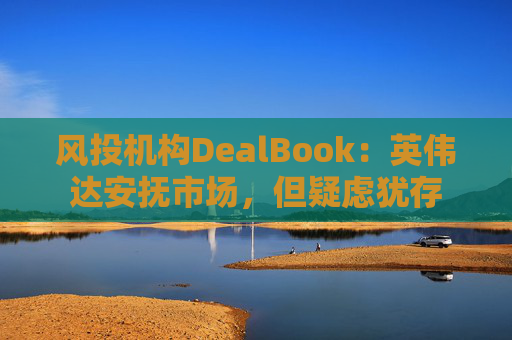 风投机构DealBook：英伟达安抚市场，但疑虑犹存