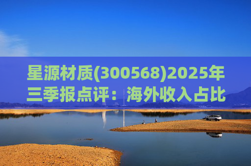 星源材质(300568)2025年三季报点评：海外收入占比提升 盈利水平改善