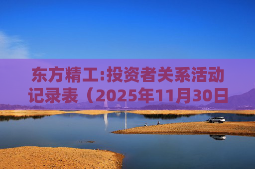 东方精工:投资者关系活动记录表（2025年11月30日）